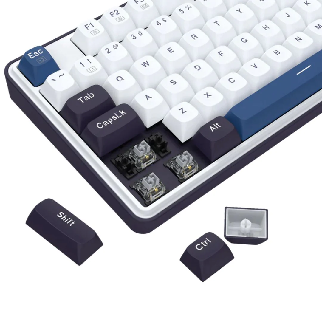 Redragon Wyvern K689WBB Mechanical Keyboard - Panda - Image 4